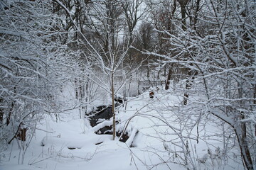 Snow covered paths and trees are seen in the Ramble in Central Park, New York City
