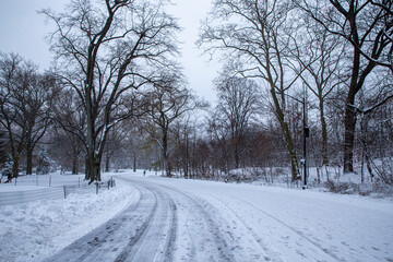 Obraz premium Snow covered roads and trees are seen in Central Park