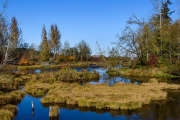 Beautiful fall landscape on a sunny day, Nisqually National Wildlife Refuge, Washington State
