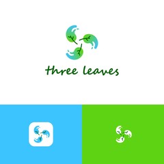 Green leaves logo company, logo vector template design with three preview. Ready to use, easy for edit.