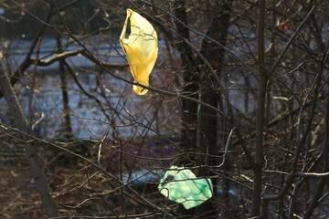 Plastic bags on trees