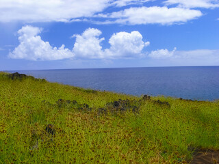 nature of Easter Island, landscape, vegetation and coast.