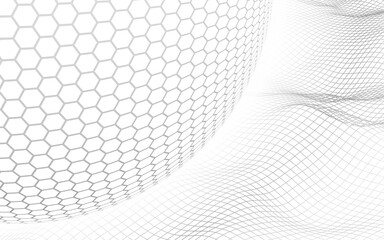 Obraz premium Abstract landscape on a white background with white honeycomb sphere. Cyberspace grid. hi tech network. 3d illustration