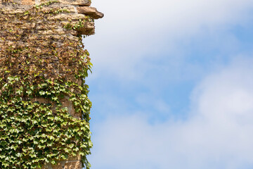 Edge of an Old Rock Wall with Ivy against a Cloudy Blue Sky