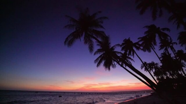 Sunset on the beach with tilted coconut tree beautiful golden sky