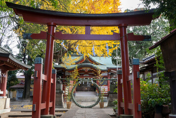 東京都杉並区永福）永福稲荷神社の第2鳥居と年越の祓と銀杏の紅葉