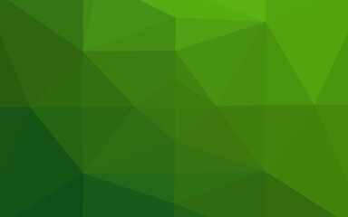 Fototapeta premium Light Green vector polygonal background.