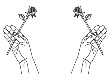 一輪の薔薇を持った手のイラスト ピンク色の背景 Wall Mural Dahlia