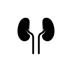 kidney icon vector symbol template