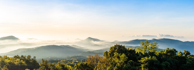 Scenery morning panorama views on Doi Inthanon, pine trees, grasslands, warm sunlight and faint mis.