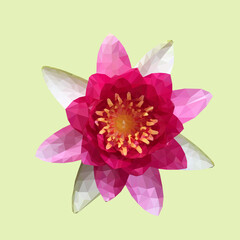 Beautiful blooming pink water lily lotus flower low polygonal design