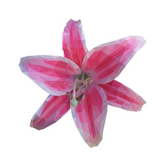 Beautiful blooming lily flower low polygon design