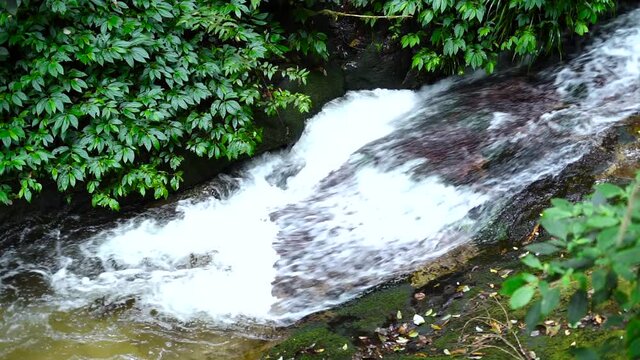 small running stream river in Kew Mae Pan Nature trail Chaingmai Thailand.