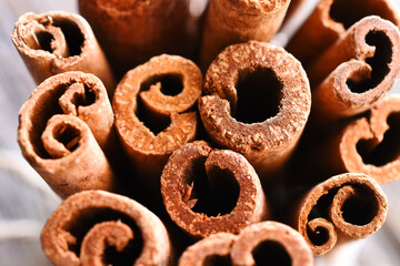 A close up image of several sticks of cinnamon in a bunch. 