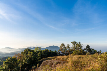 Fototapeta na wymiar Scenery morning views on Doi Inthanon, pine trees, grasslands, warm sunlight and faint mist.