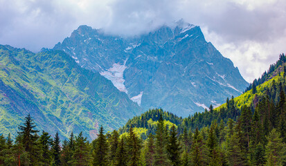 Fog covered snowy mountains with pine forest - Foggy and mystic mountain forest - Georgia