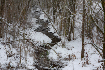 Creek in the winter forest