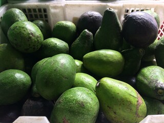 avocado for fresh juice drinks