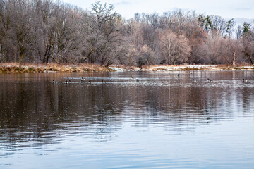 The riverside of Grand river in Paris