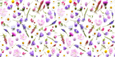 Fototapeta premium Flowers flat lay. Seamless pattern from plants, wild flowers isolated on white background, top view. The concept of summer, spring, Mother's Day, March 8. 