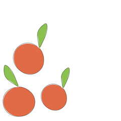 Orange fruit on white background, vector illustration