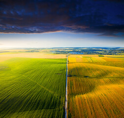 Fototapety na wymiar - Fototapeta24.pl