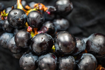 A bunch of black grapes on a black cloth background It is a sweet and sour fruit.