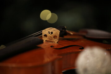 violin, macro and bokeh