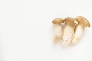 King Oyster Mushroom is placed in three pieces on a white background. It has nutritional value and usefulness in medicine.