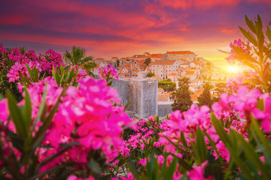 Fototapeta Splendid view at famous european city of Dubrovnik - Fort Bokar. Croatia, South Dalmatia, Europe.
