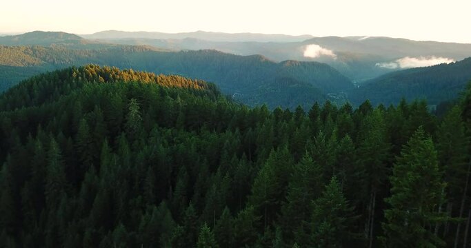 Pacific Northwest Aerial Forest Drone Oregon 