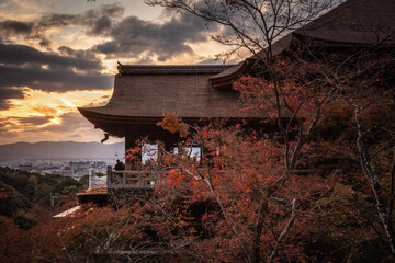 Obraz premium 京都府 清水寺 紅葉 夕景