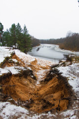 spring forest. snow melts in the pine forest. the beginning of March