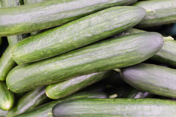 background of cucumbers, large cucumbers
