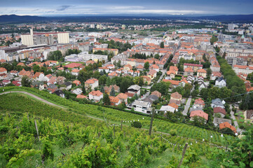 Fototapeta na wymiar Aerial Panoramic View of Maribor, Slovenia