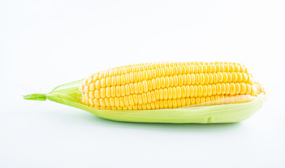 Fresh corn on white background