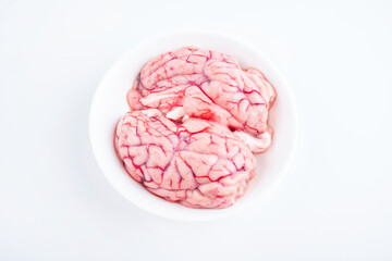 Fresh sheep brain on white background