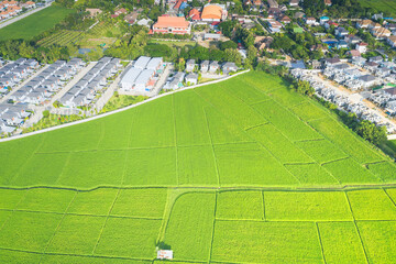 Cultivated land and land plot or land lot. Consist of aerial view of green field, agricultural plant and ridge. That is tract of land for cultivate, owned, sale, development, rent, buy or investment.
