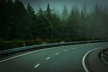 Empty, curving motorway lined with fir trees on a foggy morning.