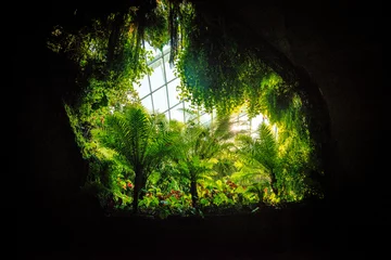 Fotobehang  Beautiful view inside of Cloud Forest Part at Garden by the Bay, Singapore © Nhan