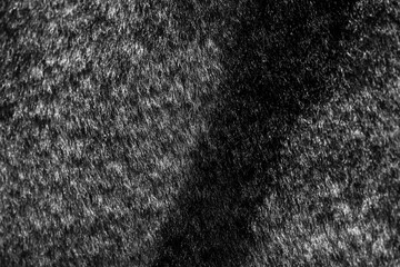 Fototapeta premium Grey fur textile textured background