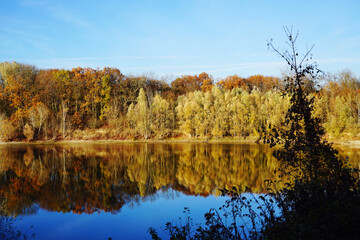 tranquil landscape at a lake in the evening sun 