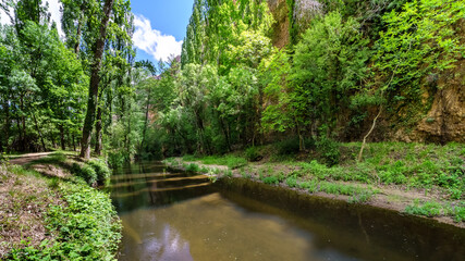 Green landscape with fresh water stream and flowering plants.
