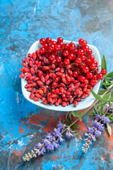 bottom view currants and barberries in white plate purple flower branch on blue background