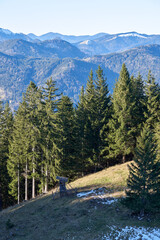 Hunter's stand with trees and mountains in the background