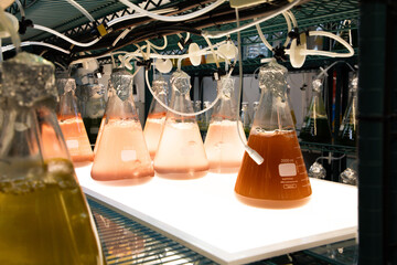 flasks with liquid being analyzed in a laboratory