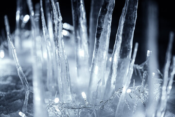 icicles standing in snow at dark night