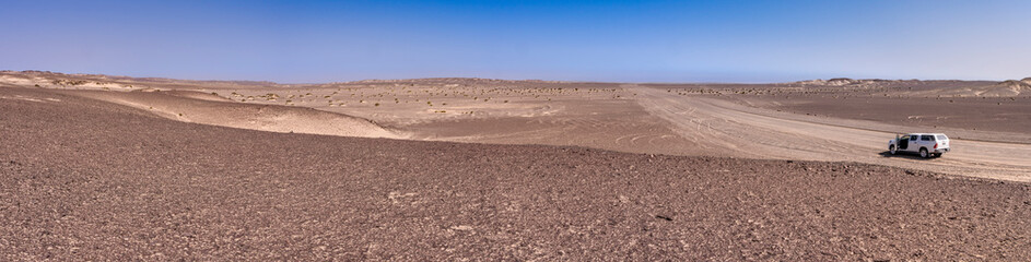 Panoramic view of the Skeleton Coast desert dunes in Namibia in Africa. 