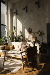Boho style modern home interior design. Sofa, pillows, home plants, carpet and decorations against concrete wall. Warm bright bohemian sitting room with sunlight shadows on the wall. © Floral Deco
