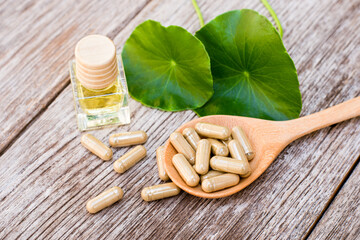 Gotu Kola herbal capsules and fresh green leaves with bottle of essential oil isolated on wood board background. 